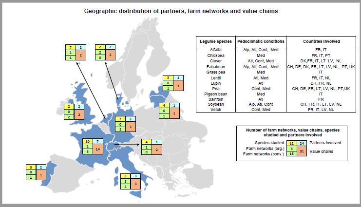 LEGVALUE Partner Farm chains/ networks