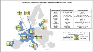 LEGVALUE Partner Farm chains/ networks
