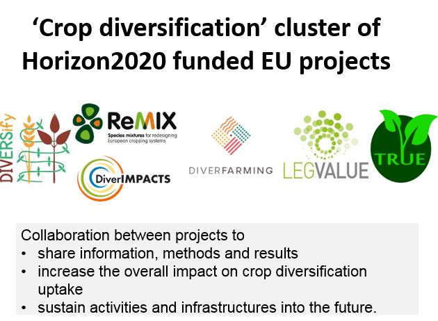 Crop diversification’ cluster of Horizon2020 funded EU projects
