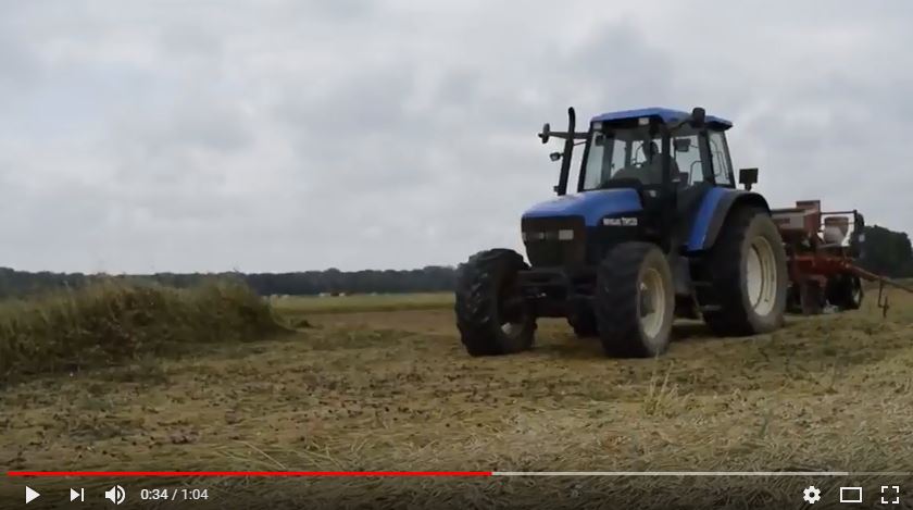 Soya bean establishment strategies to reduce bird damage