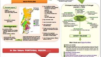 Why doesn't portugal grow more chickpeas
