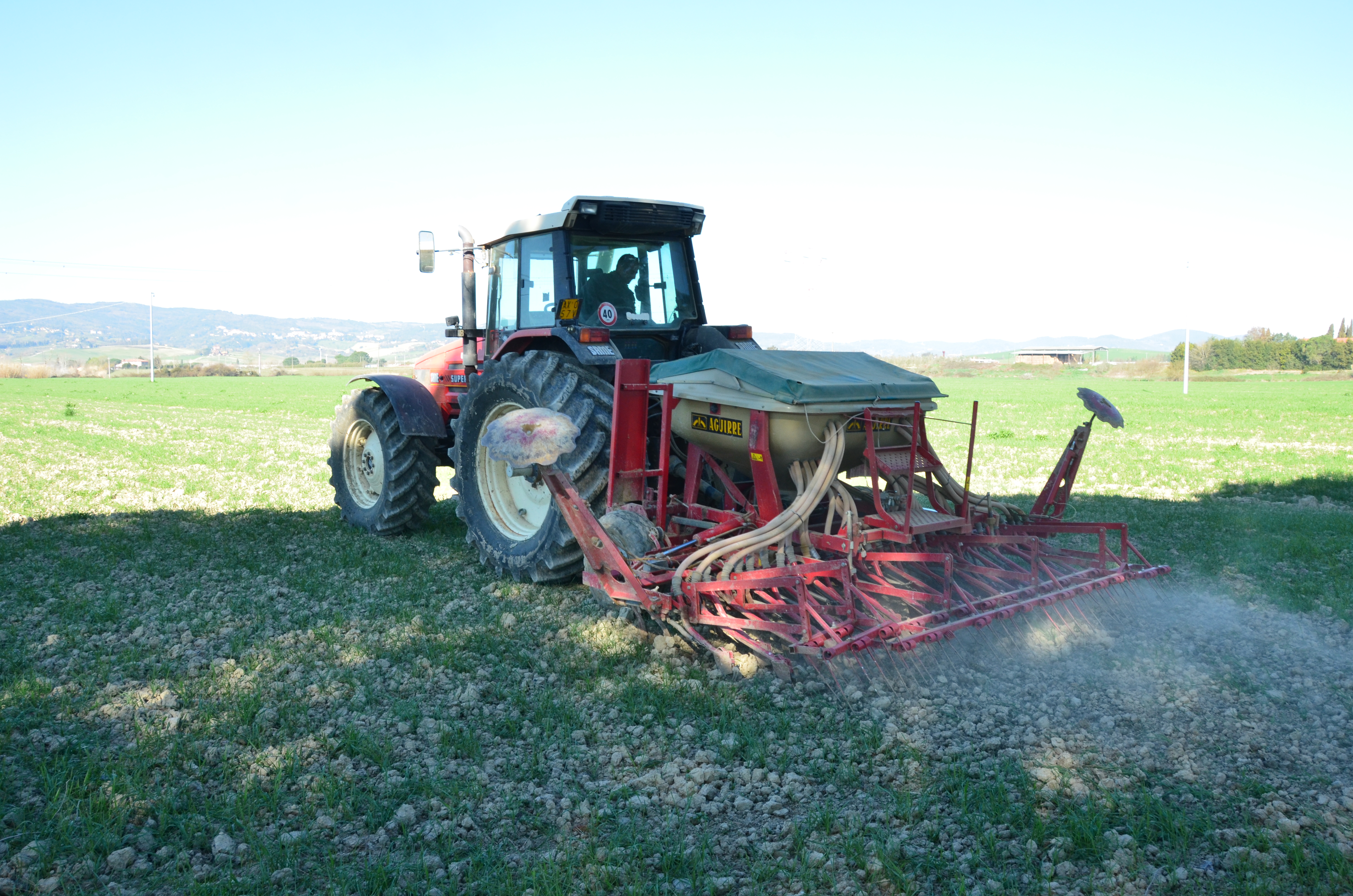 Relay cropping Lentils into Winter Wheat