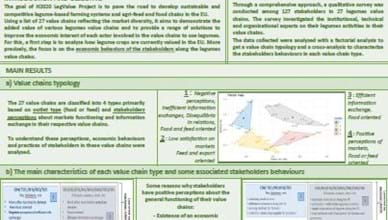 Legume Value Chain Study