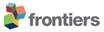 frontiers logo