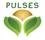 pulses logo