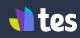 tes logo