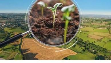 The EU Agricultural Outlook for Markets and Income 2019-2030
