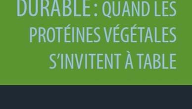 LES RACINES D’UNE ALIMENTATION DURABLE : QUAND LES PROTÉINES VÉGÉTALES S’INVITENT À TABLE