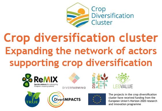 Crop Diversification cluster- expanding the network