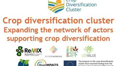 Crop Diversification cluster- expanding the network