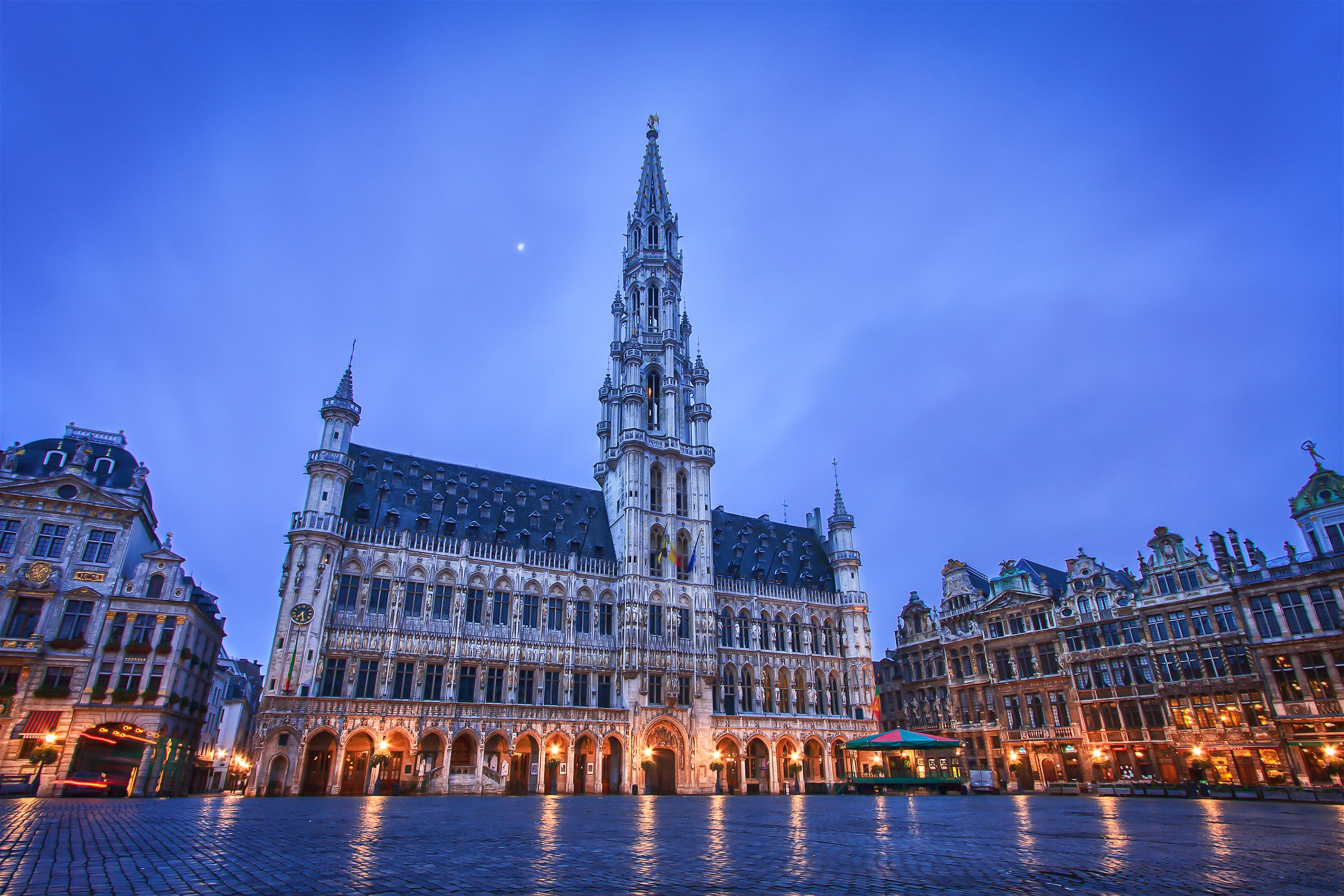 Conference: "European Legumes in Transition"