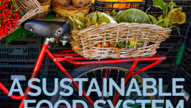 A SUSTAINABLE FOOD SYSTEM FOR THE EUROPEAN UNION