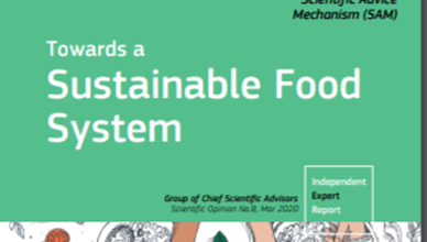 Towards a Sustainable Food System