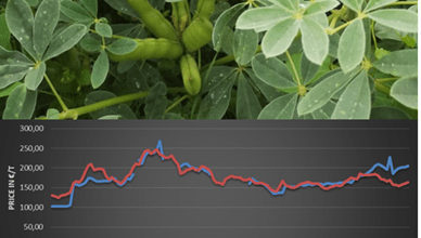 Legume market PRICE OBSERVATORY.A download of price reporting sources and initiatives