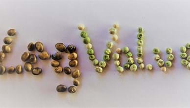 Unit Values in International Trade as price indicators of Legumes in the EU