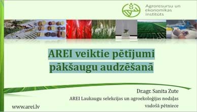 Research conducted by AREI in the cultivation of pulses: AREI veiktie pētījumi pākšaugu audzēšanā