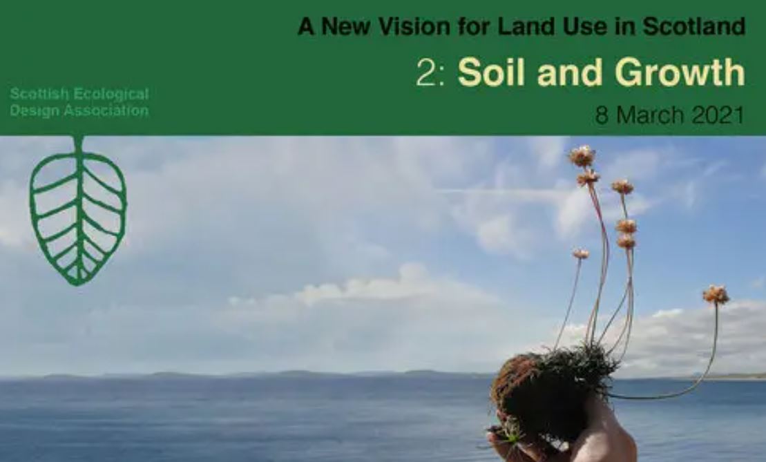 Soil and Growth
