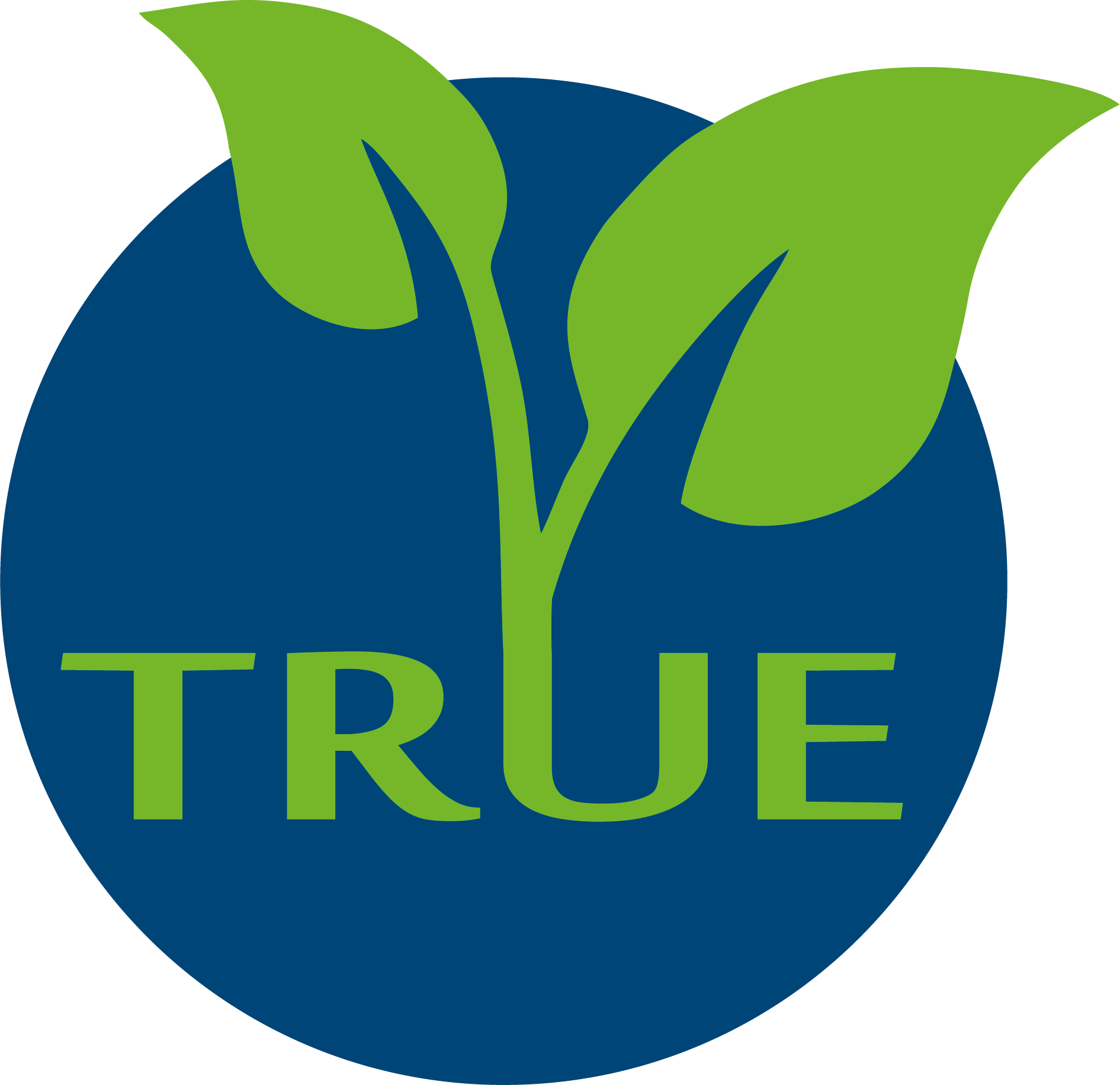 News Letter #1 of the TRUE project 2017