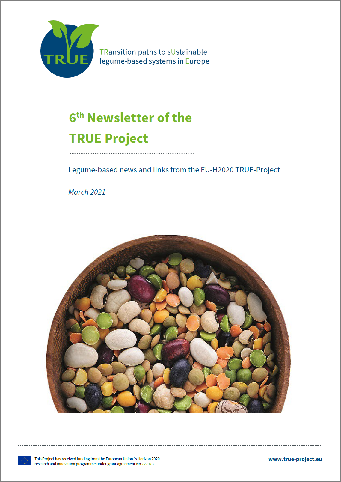 News Letter #6 of the TRUE project -  March 2021