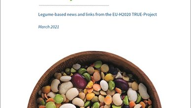 News Letter #6 of the TRUE project -  March 2021