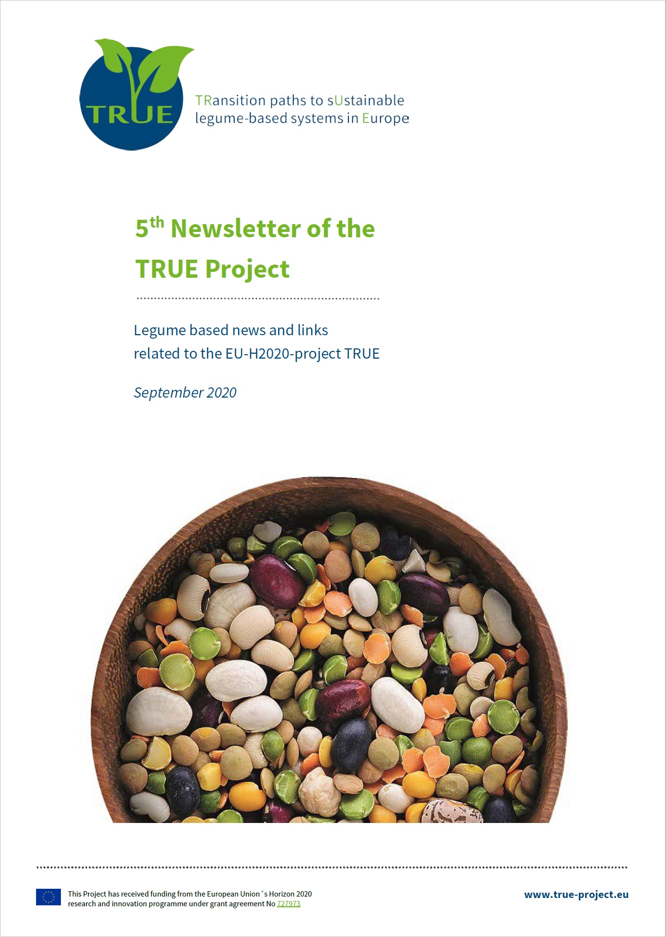 News Letter #5 of the TRUE project -  September 2020