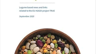 News Letter #5 of the TRUE project -  2020