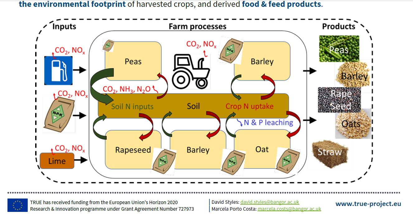 Life cycle assessment of legumes and legume based products