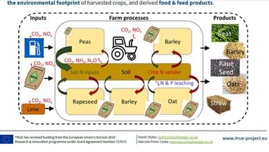 Life cycle assessment of legumes and legume based products