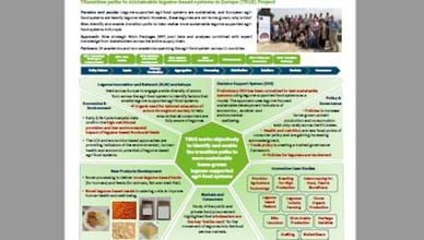 The Puzzle and paradox of legume based agri-food systems in Europe