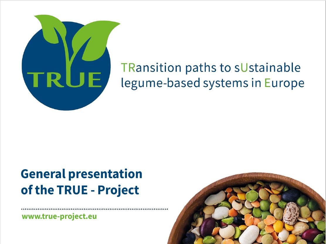 The TRUE project - general background presentation 2021