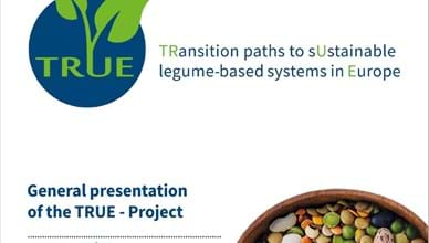 The TRUE project - general background presentation 2021