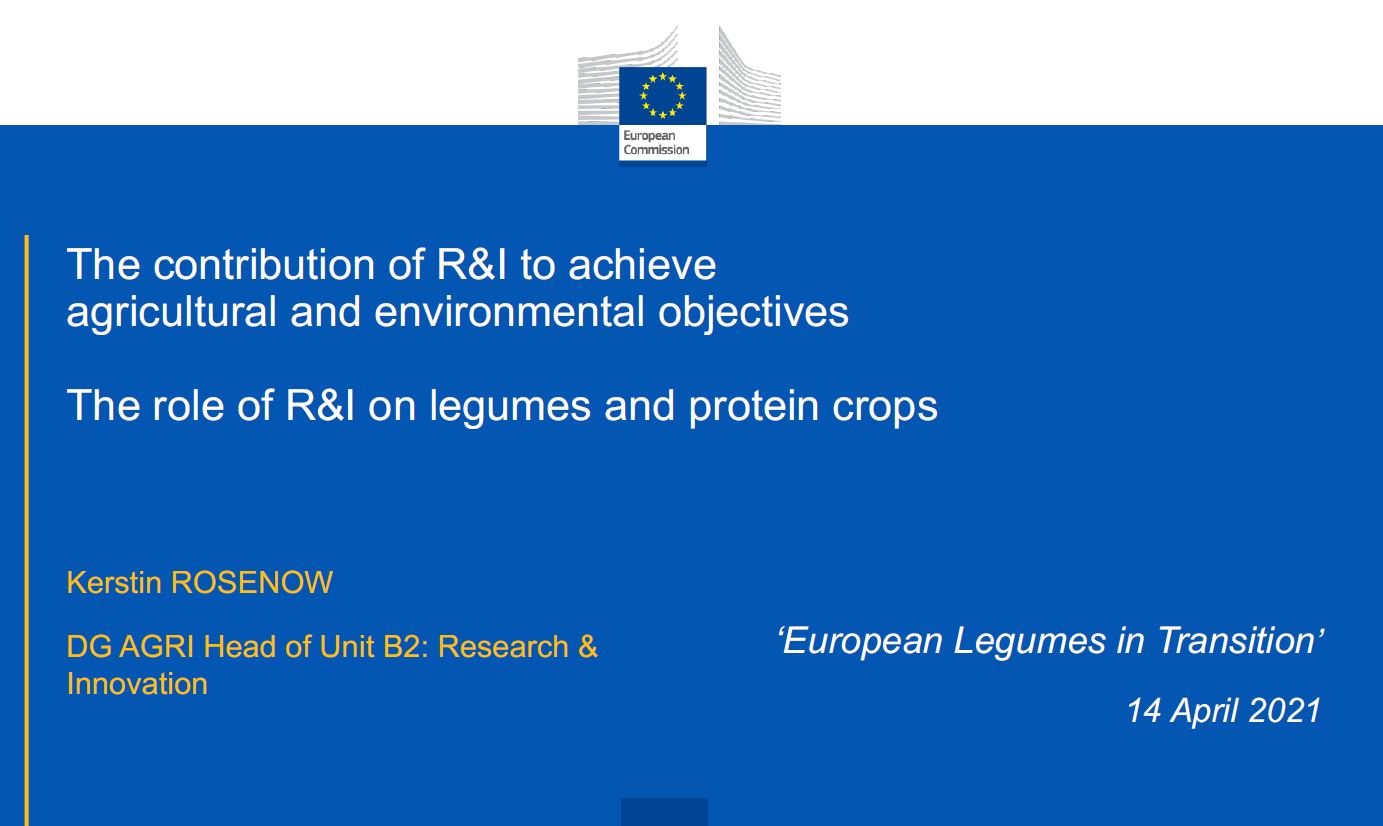 The role of R&I on legumes and protein crops - a  DGI Agri presentation - Kerstin Rosenow