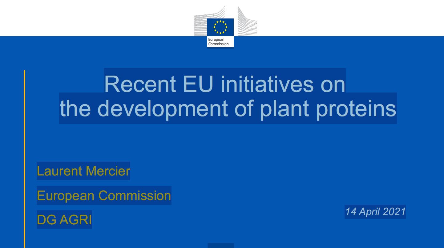 Recent EU initiatives on the development of plant proteins - a DG Agri presentation