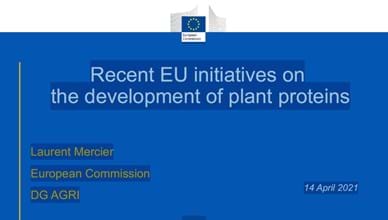 Recent EU initiatives on the development of plant proteins - a DG Agri presentation