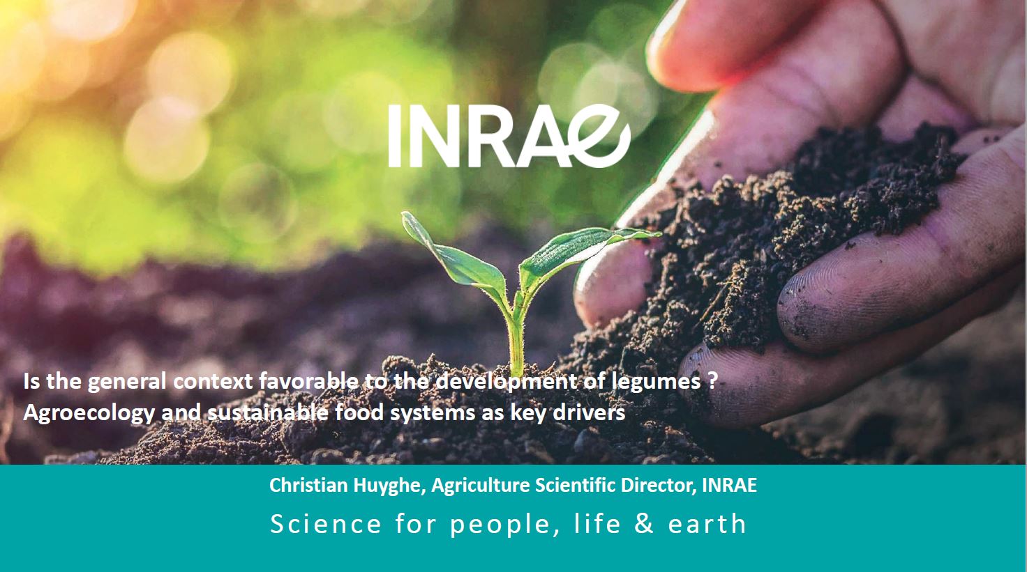 Is the general context favourable to the development of legumes ?