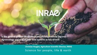 Is the general context favourable to the development of legumes ? 