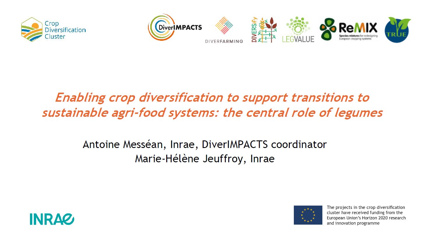 Enabling crop diversification to support transitions to sustainable agri-food systems: the central role of legumes