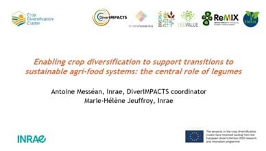 Enabling crop diversification to support transitions to sustainable agri-food systems: the central role of legumes