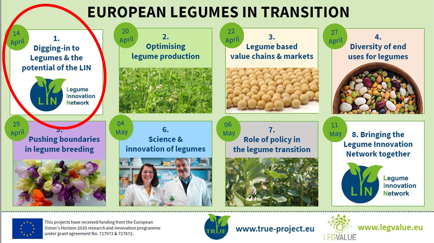 Digging in to Legumes and the potential of the Legume Innovation Network