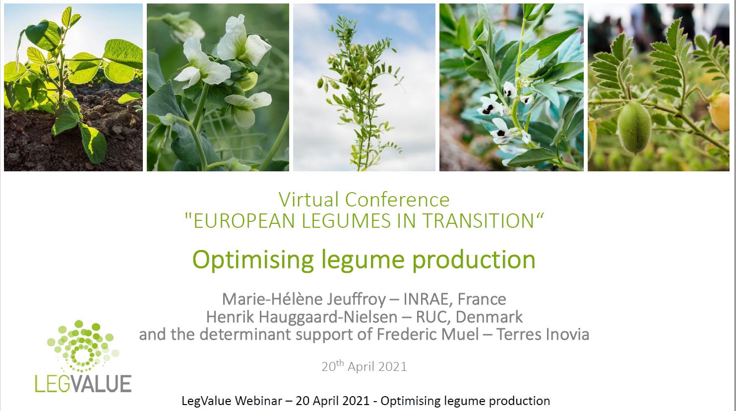 "Optimising Legume Production"