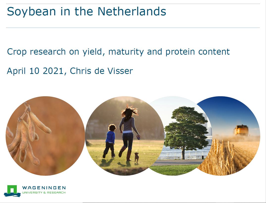 Soybean in the Netherlands