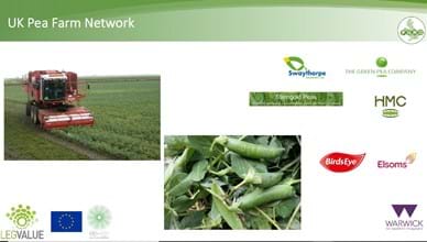 "UK Vining pea farm network case study "