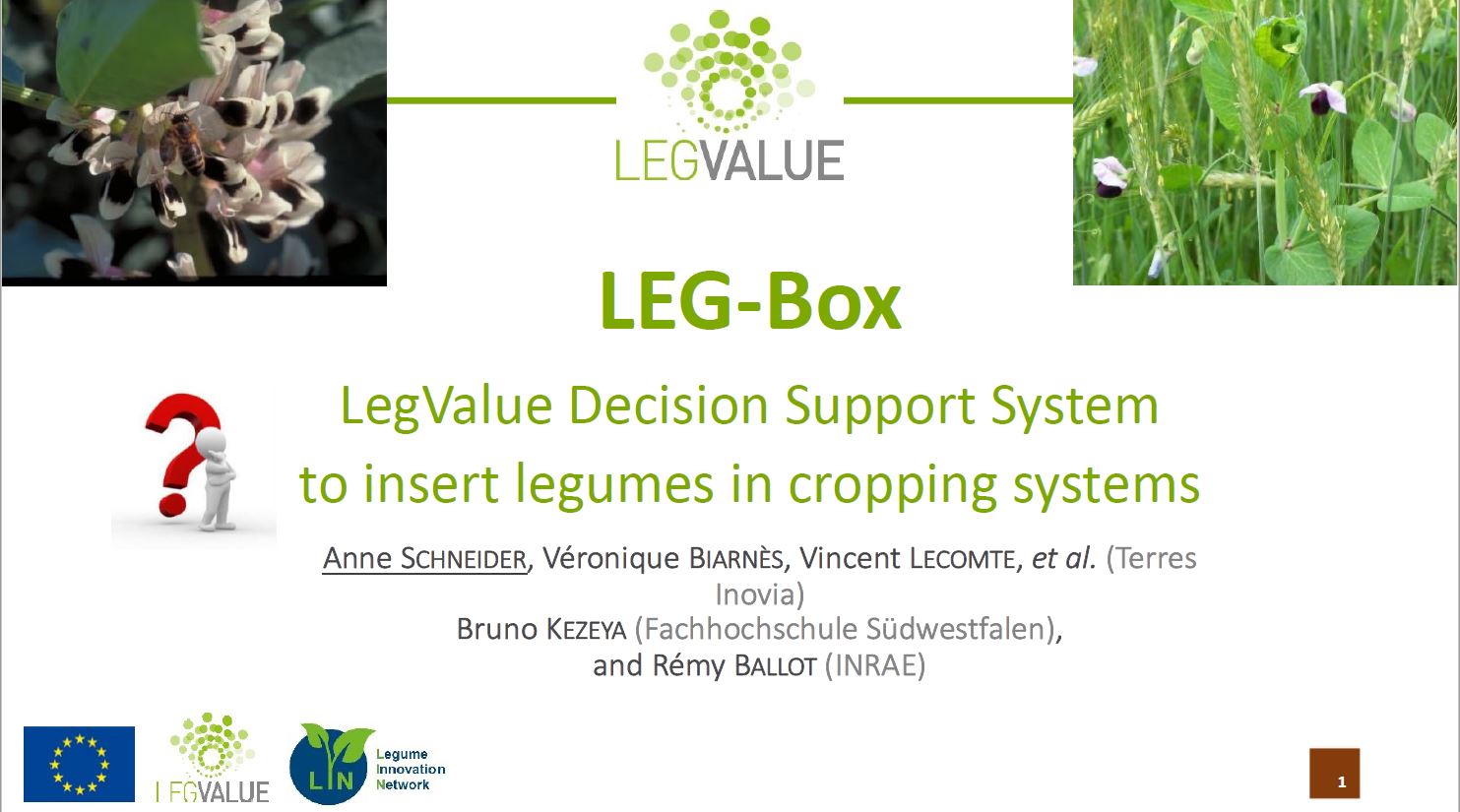 Leg BOX
