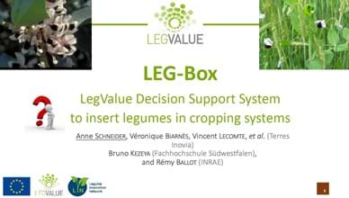 Leg BOX