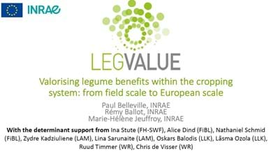 Valorising legume benefits within the cropping system