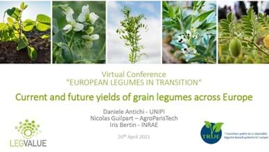 Current and future yields of grain legumes across Europe