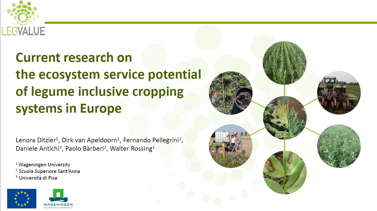 Ecosystem service potential of legume inclusive cropping systems