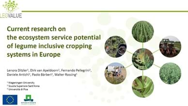 Ecosystem service potential of legume inclusive cropping systems