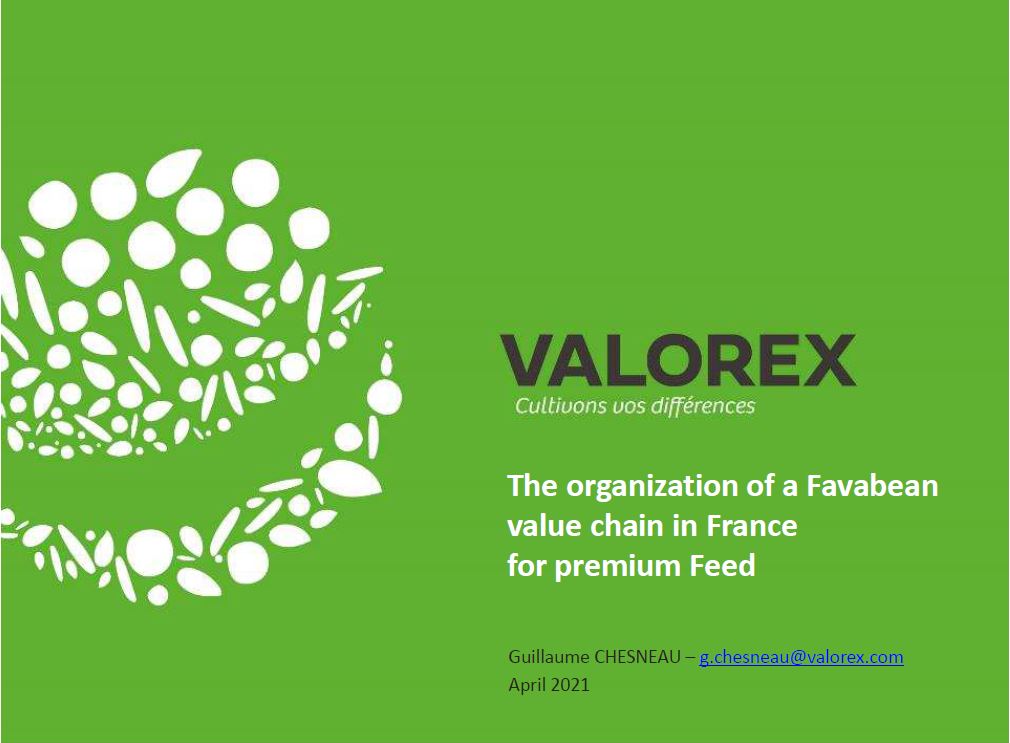 Organisation of the Faba bean value chain in France