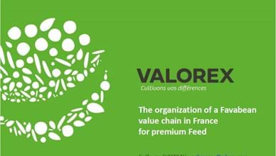 Organisation of the Faba bean value chain in France